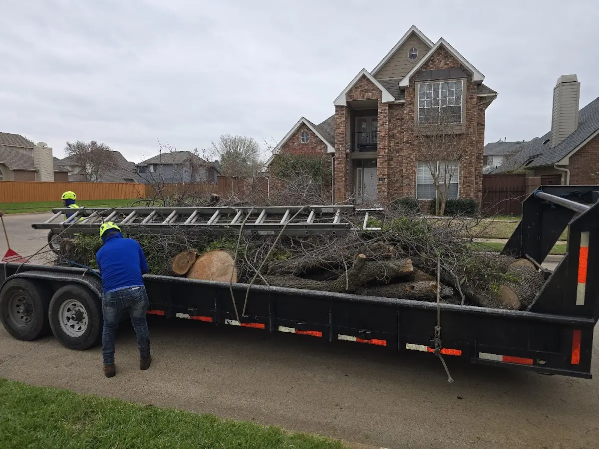 Expert Tree Pest Control with proper safety equipment in Laurel Hill
